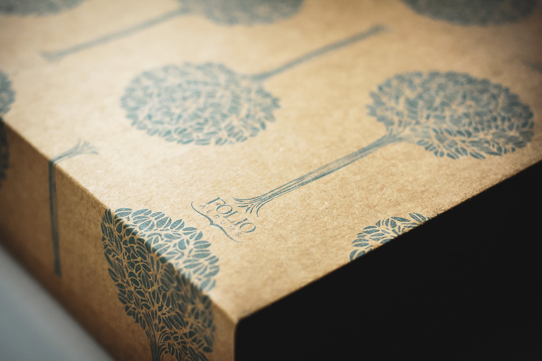 Folio Wedding Albums
